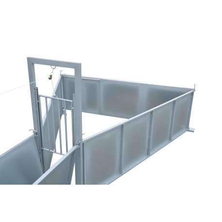 Manga de manejo ganado porcino