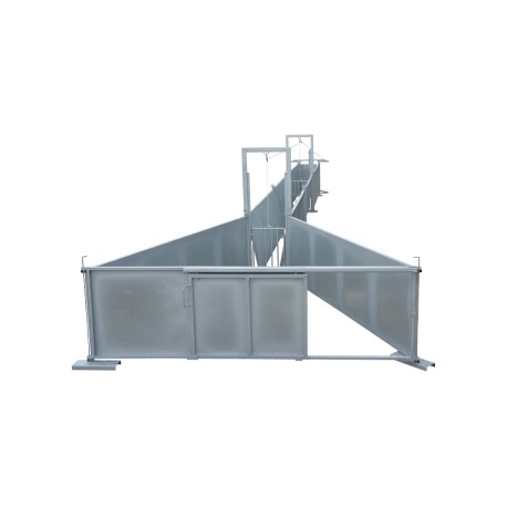 Manga de manejo ganado porcino